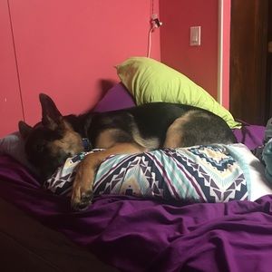 Meet your Posher, Nicole